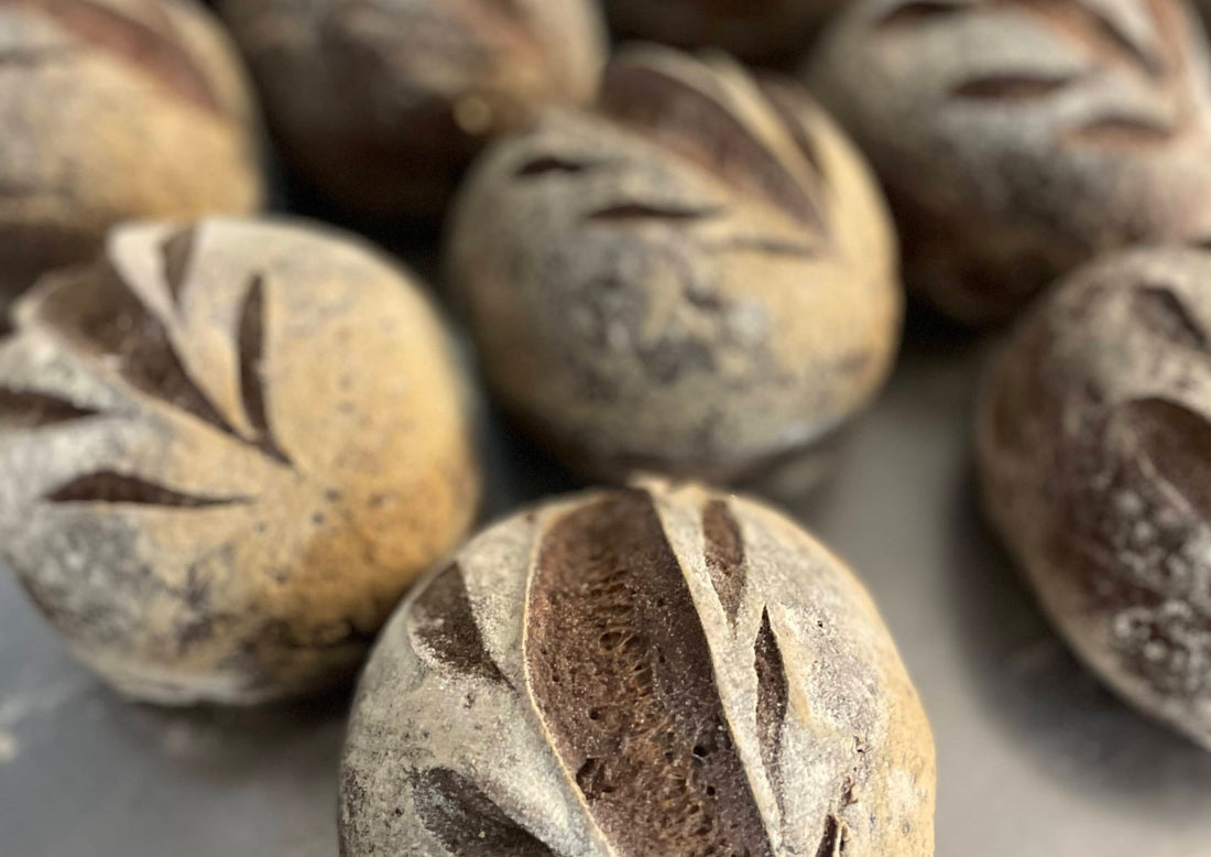 Grain Brain: The Impact of Gluten on Neurological Health